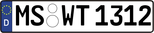 MS-WT1312