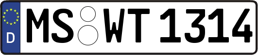 MS-WT1314