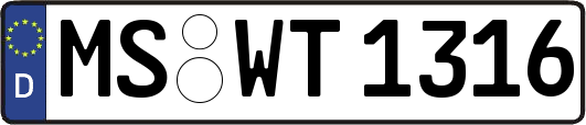 MS-WT1316