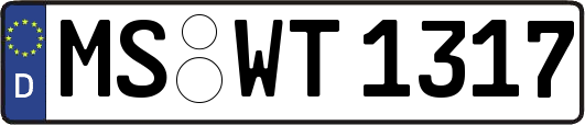 MS-WT1317