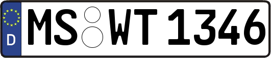 MS-WT1346