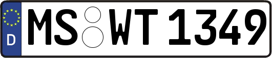MS-WT1349