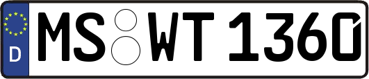 MS-WT1360