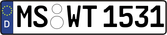 MS-WT1531
