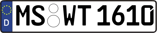 MS-WT1610