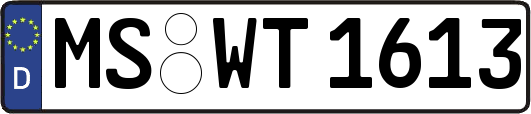 MS-WT1613