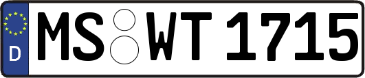 MS-WT1715