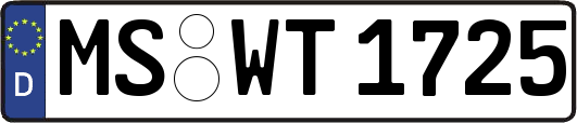 MS-WT1725
