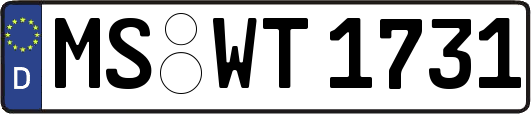 MS-WT1731
