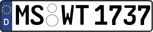 MS-WT1737