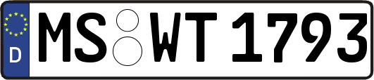 MS-WT1793