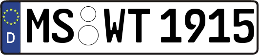 MS-WT1915