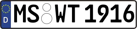 MS-WT1916