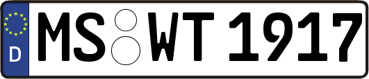 MS-WT1917