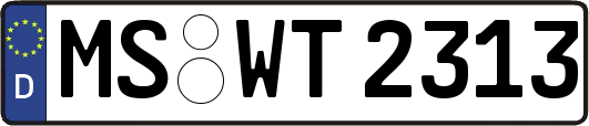 MS-WT2313