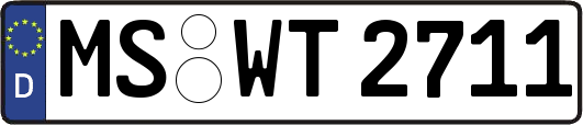 MS-WT2711