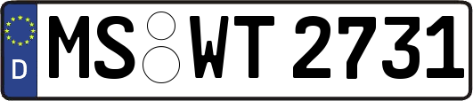 MS-WT2731