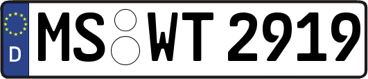 MS-WT2919