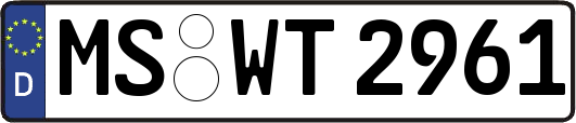 MS-WT2961