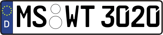 MS-WT3020