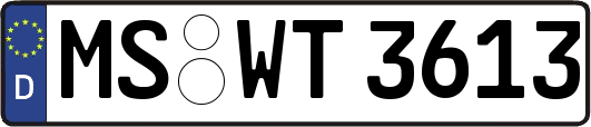 MS-WT3613