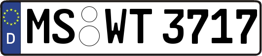 MS-WT3717