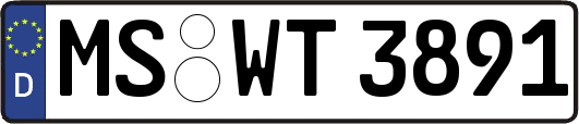 MS-WT3891