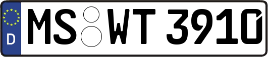 MS-WT3910
