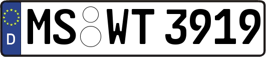 MS-WT3919