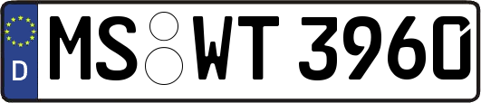MS-WT3960