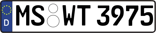 MS-WT3975