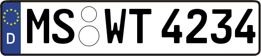 MS-WT4234