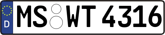 MS-WT4316