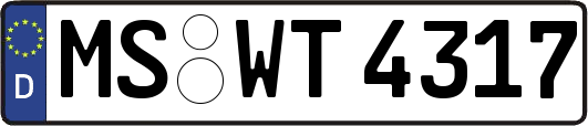 MS-WT4317