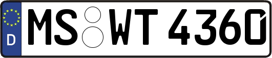 MS-WT4360