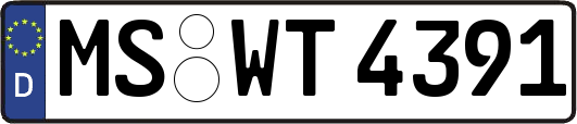MS-WT4391