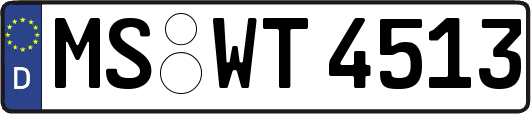 MS-WT4513