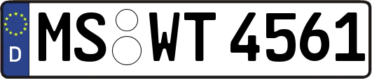 MS-WT4561