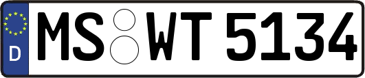 MS-WT5134