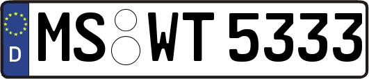MS-WT5333