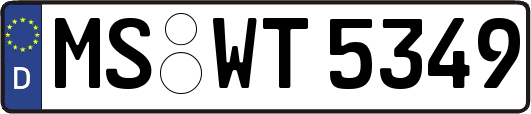 MS-WT5349