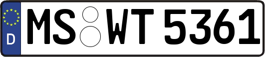 MS-WT5361