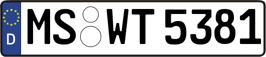 MS-WT5381