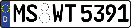 MS-WT5391
