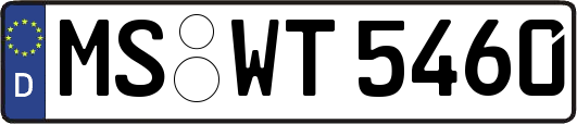 MS-WT5460
