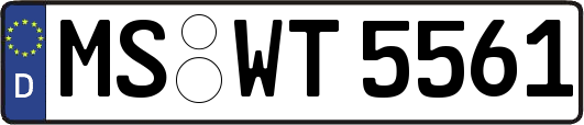 MS-WT5561