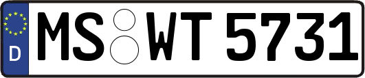 MS-WT5731