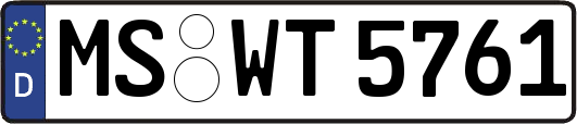 MS-WT5761