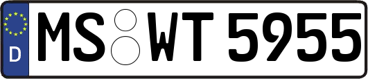 MS-WT5955
