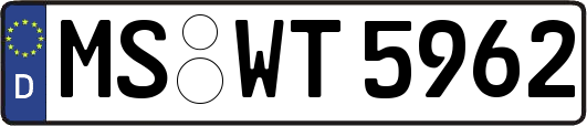 MS-WT5962